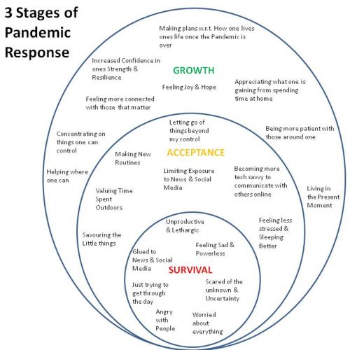 3 Stages of Pandemic